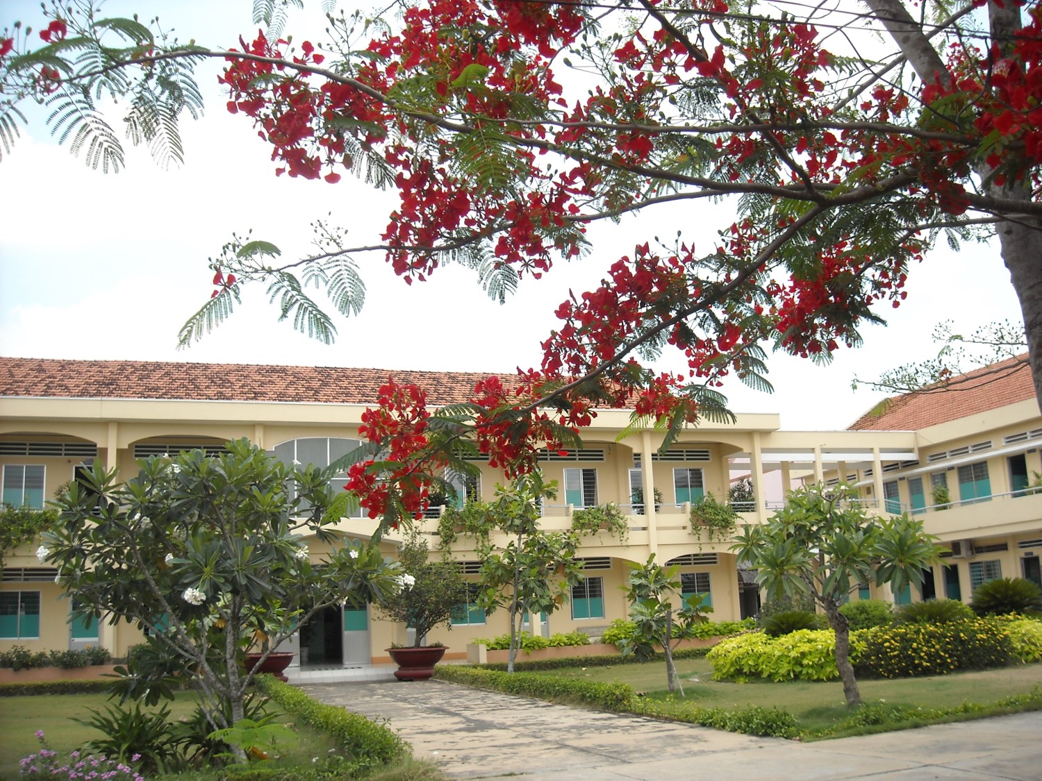 Thư viện ảnh